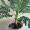 Bamboo Basket Planter (Green) - Image 2