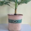 Bamboo Basket Planter (Green)