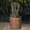 Multipurpose Water Hyacinth Basket - Image 2